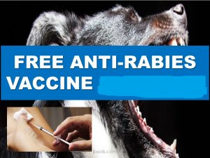ANTI-RABIES VACCINE FROM DOH