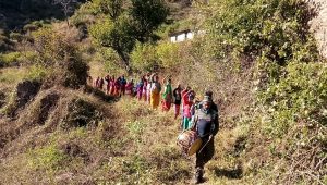 Breaking uttarakhand news