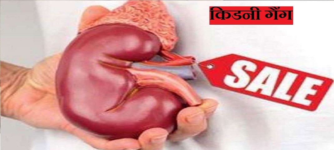 doon uttrakhand news