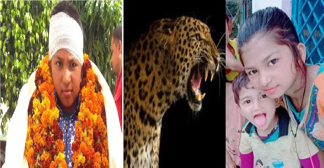 doon uttrakhand news