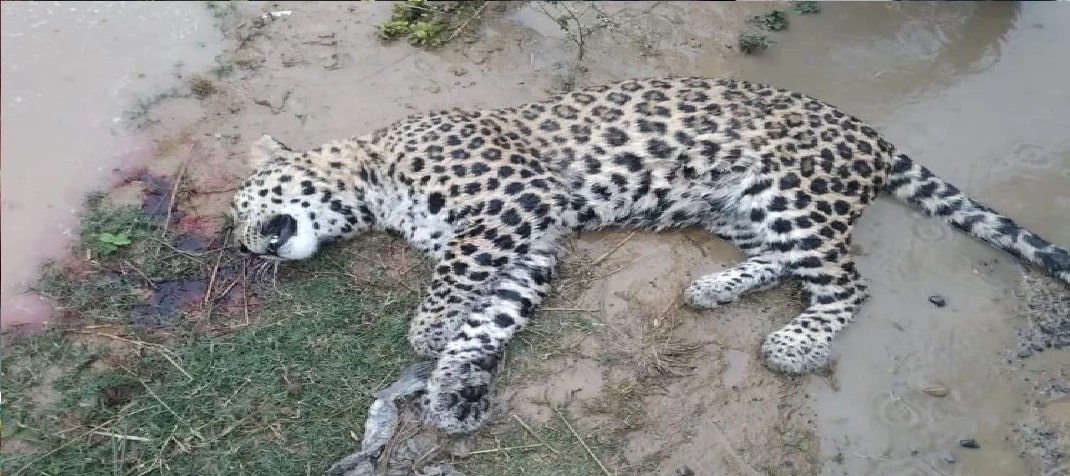 doon uttrakhand news