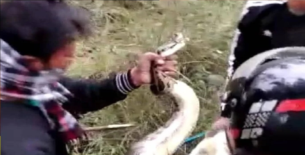 doon uttrakhand news