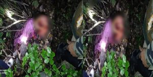 Breaking uttarakhand news