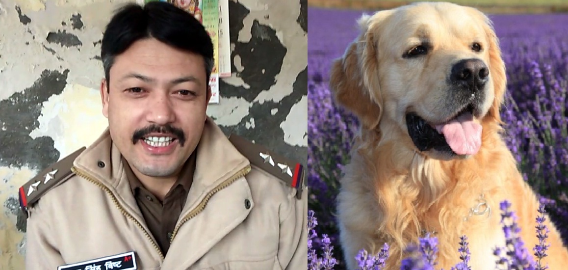 doon uttrakhand news