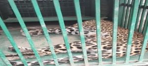 breaking uttrakhand news