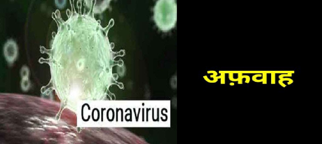 corana virus