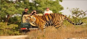 breaking uttrakhand news