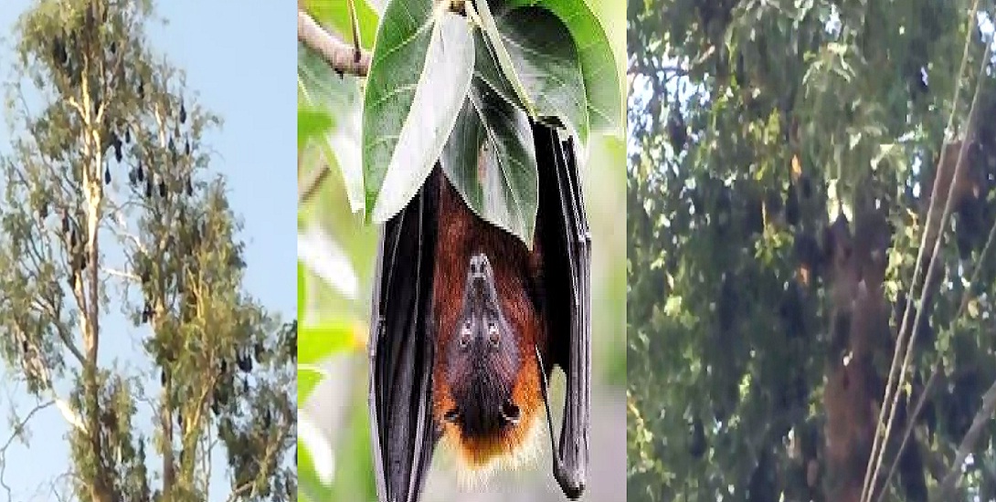 citiesuttarakhand high hill Uttarakhand