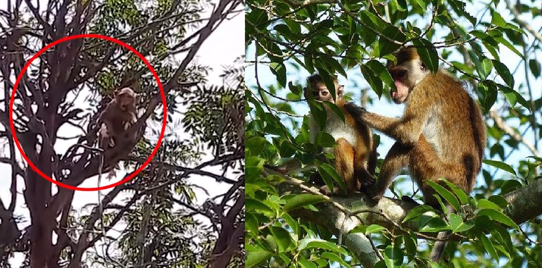 citiesuttarakhand high hill Uttarakhand