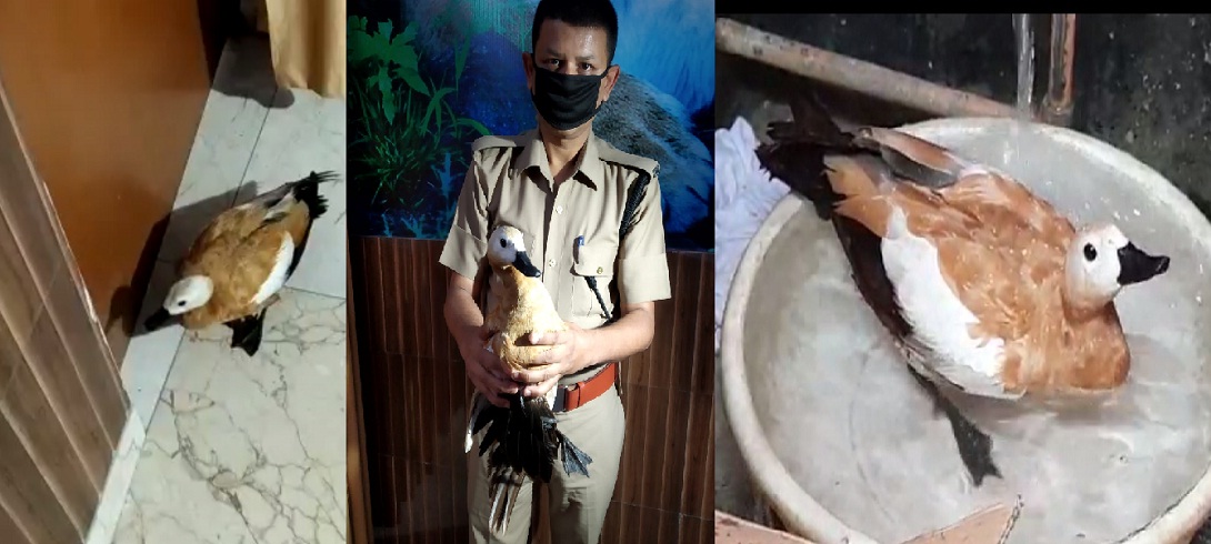 citiesuttarakhand high hill Uttarakhand