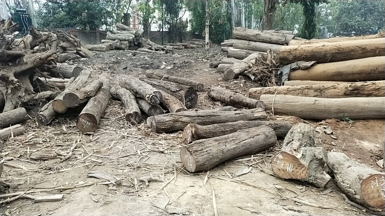 uttarakhand live news