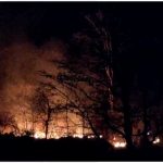 उत्तराखंड: खतरनाक हुई जंगल की आग, सताने लगा गांव जलने का डर