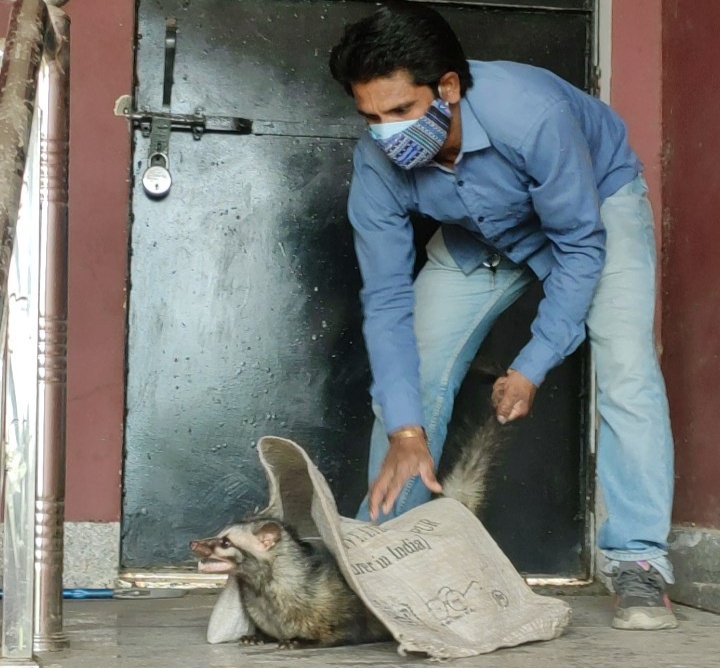 Udham Singh Nagar News