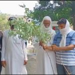 रुड़की ब्रेकिंग : खनन माफियाओं ने चुरा ली किसानों की मिट्टी, उखाड़ डाले पेड़