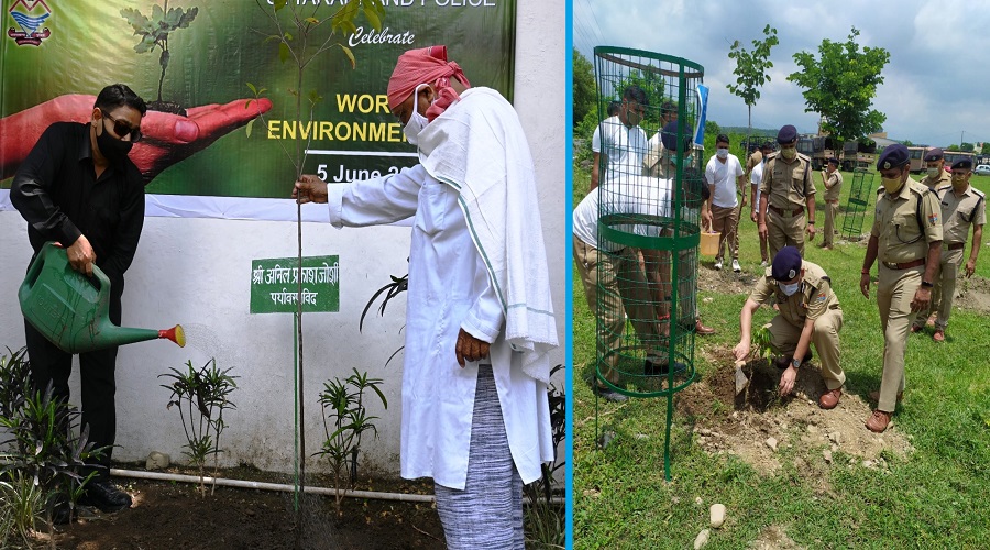 planted one lakh saplings in 45 days.