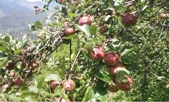 Uttarakhand Weather News