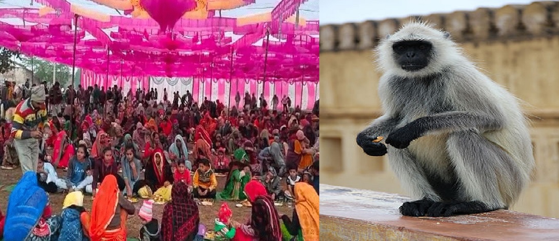 समाचार