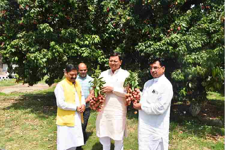 cm dhami in cm aawas with litchi