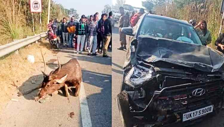 SAMBHAR CAR ACCIDENT