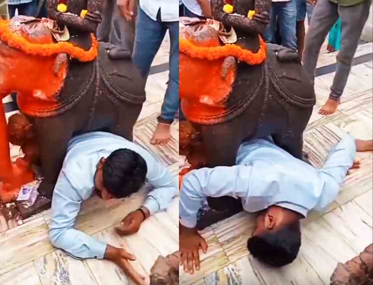 viral video man under elephant statue