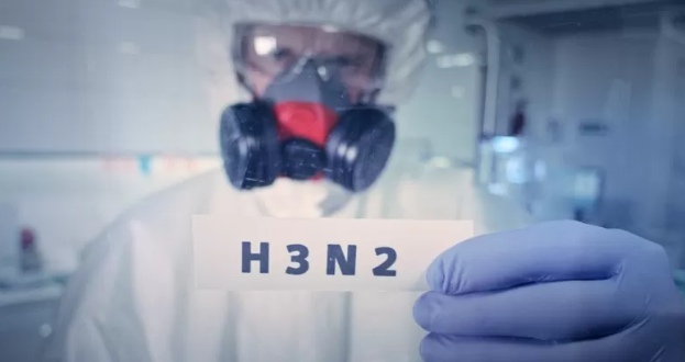 H2N2