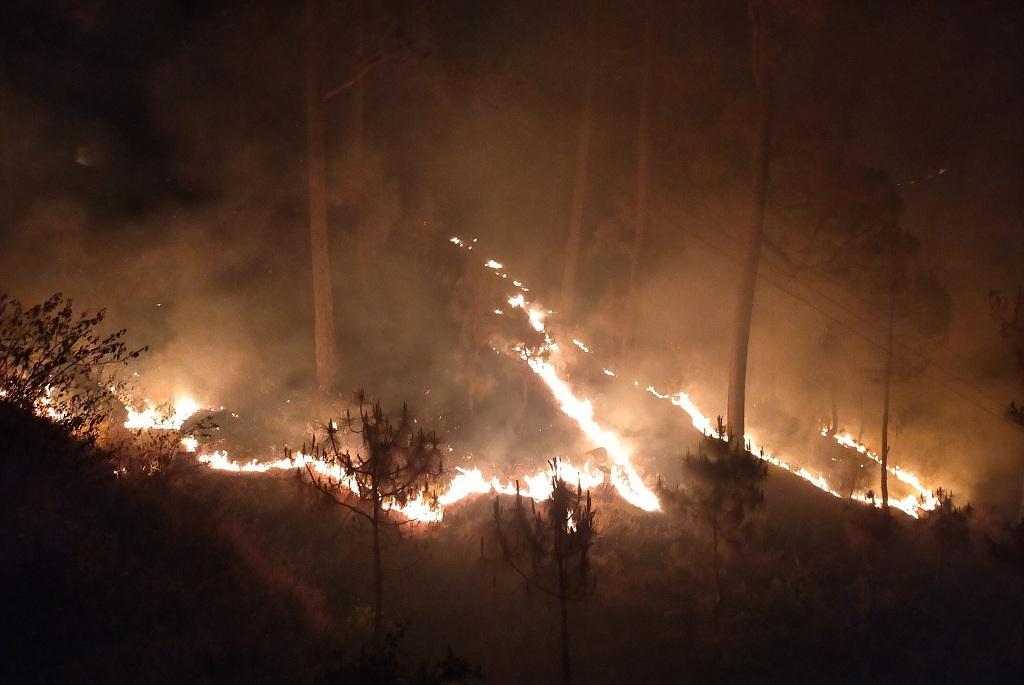 जंगल की आग FOREST FIRE