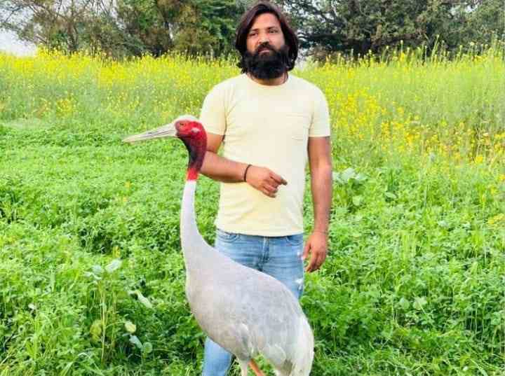 समाचार