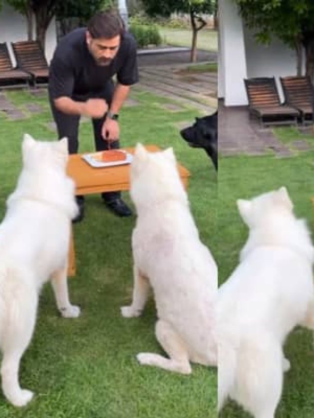 इस साल अनोखें अंदाज़ में MS Dhoni ने मनाया जन्मदिन, देखिए वीडियो