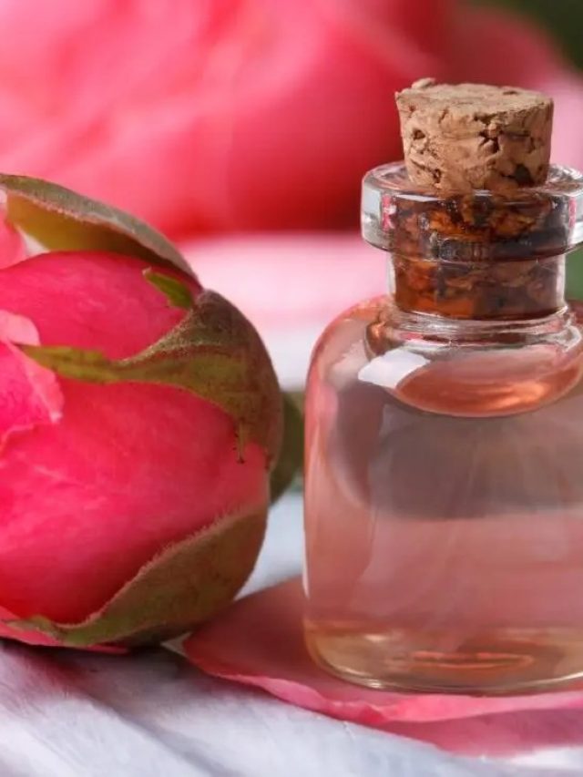 रात को सोते समय गुलाब जल लगाने के होते है ये फायदें