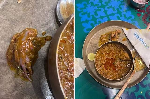 Dead rat served with chicken dish at popular Mumbai restaurant