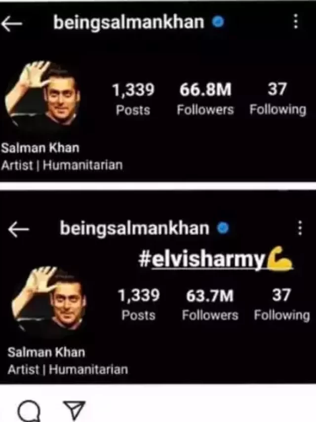 एल्विश यादव को डांटने के बाद सलमान खान के इंस्टाग्राम पर फॉलोअर्स हुए कम!