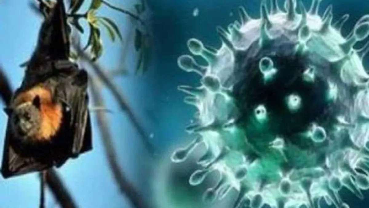 1,080 people came in contact with Nipah virus here, all educational institutions closed till 24 September