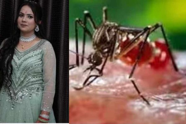dengue se maut बुखार से युवती की मौत, दो दिन बाद होनी थी शादी