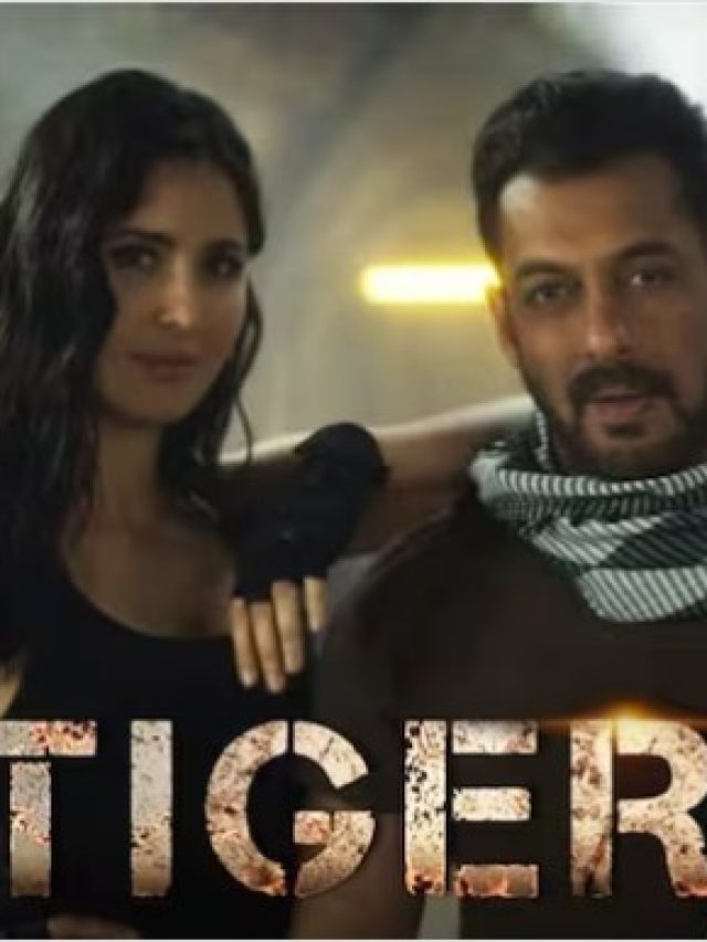 दुनियाभर में 400 करोड़ के पास पहुंची सलमान खान की टाइगर 3