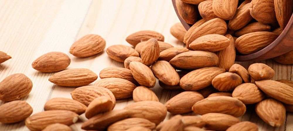 Cultivation of the world's most expensive almond, macadamia nut, will now start in this state of India, know here