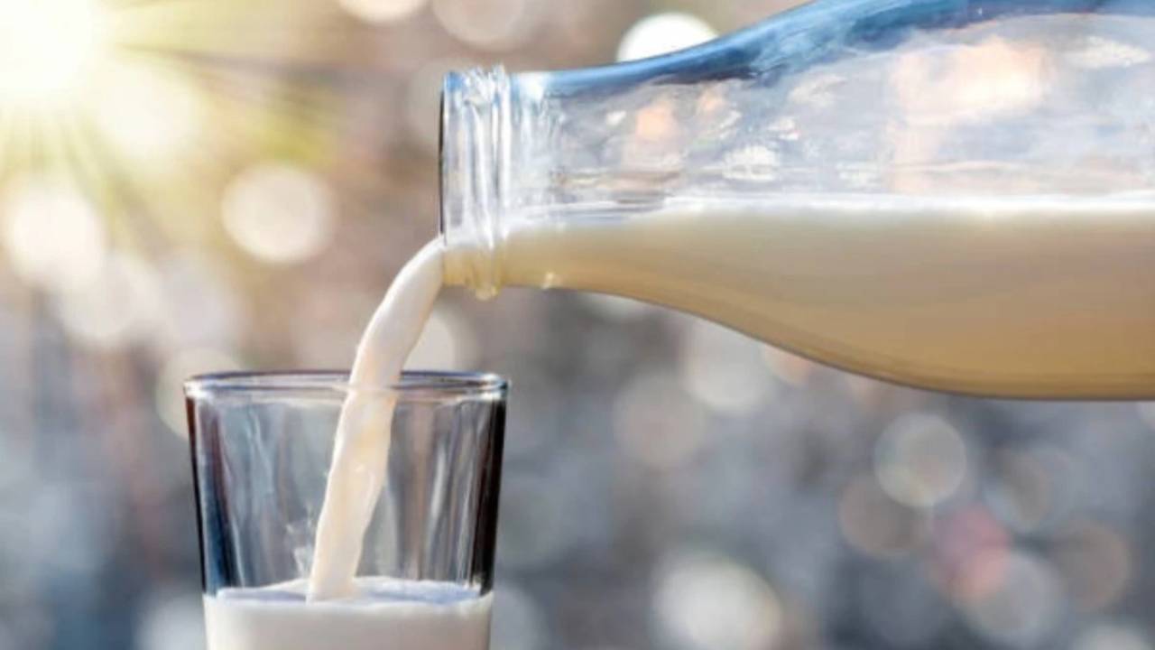 Whoever drank buffalo milk in this village was in trouble, now he will be vaccinated, know why