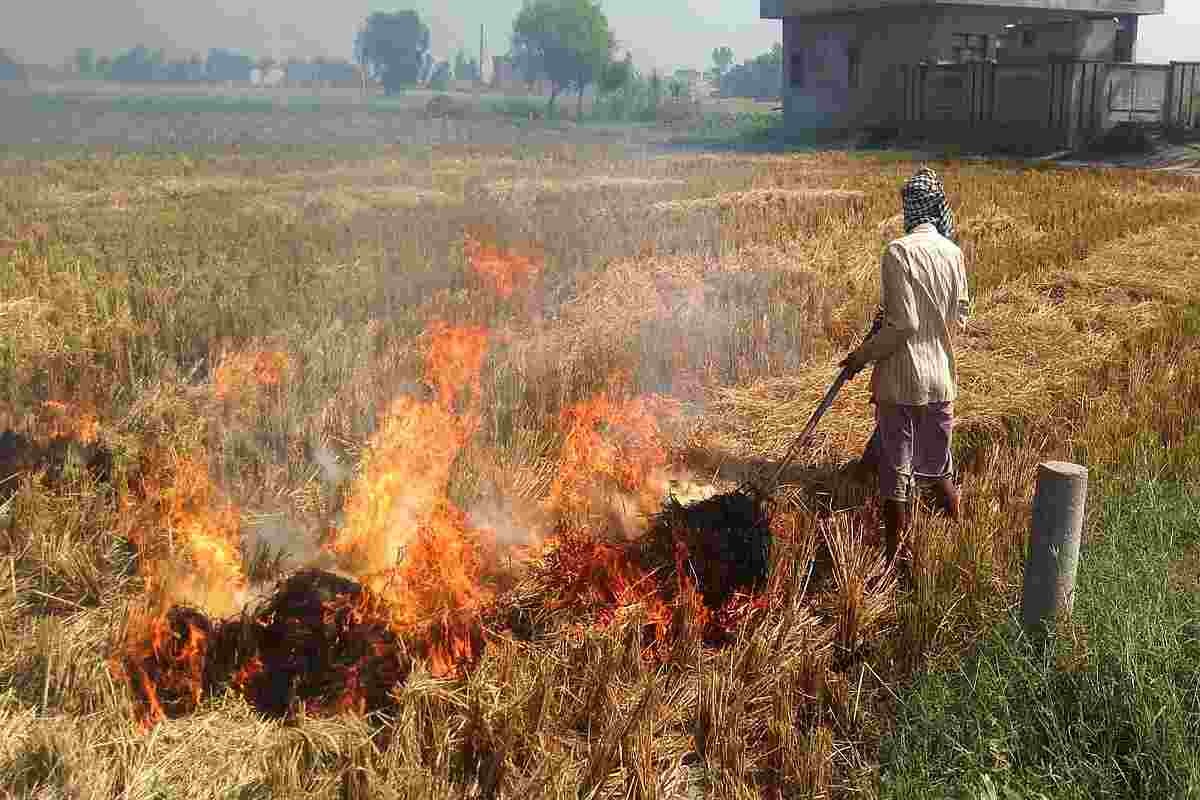 Pollution is increasing in Delhi due to burning of stubble in Haryana and Punjab, records of farmers are being cut.