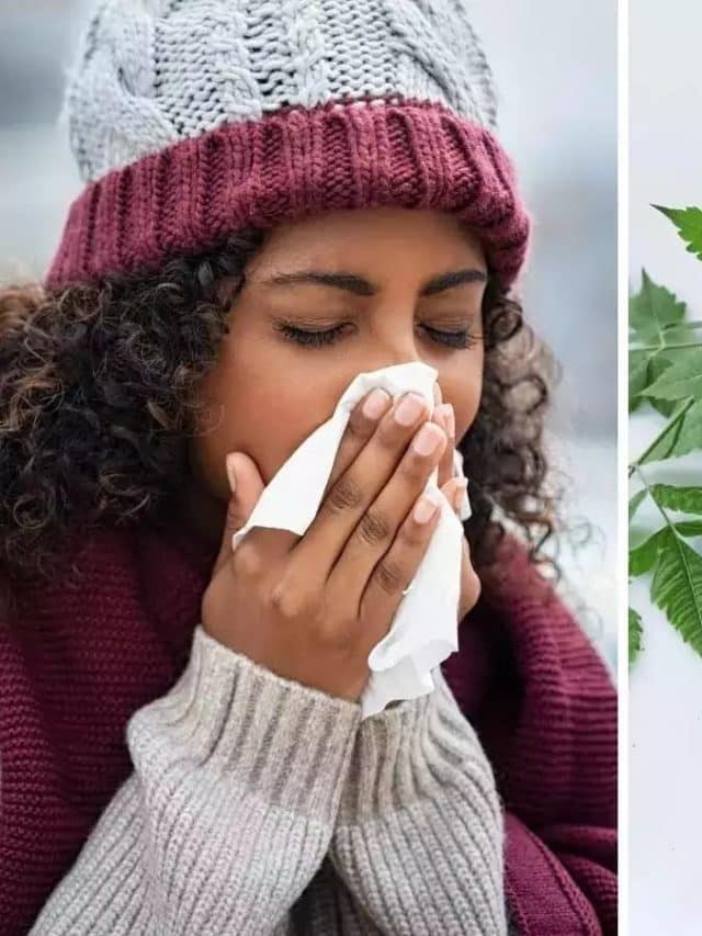 सर्दियों में शामिल करें ये चीजें, तेजी से बढ़ेगी इम्यूनिटी, नहीं होंगे बीमार