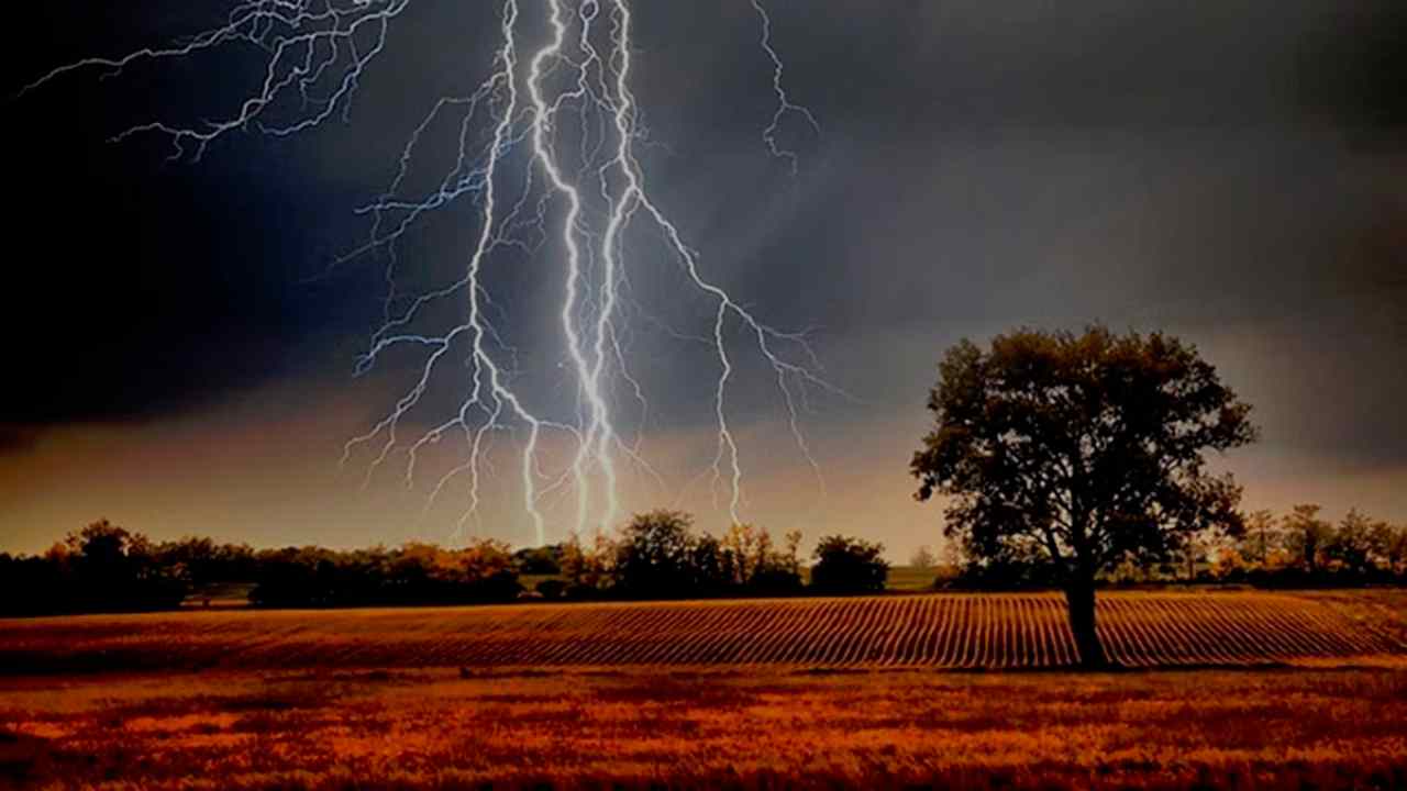 Unseasonal rain wreaks havoc in Gujarat, 20 people died due to lightning