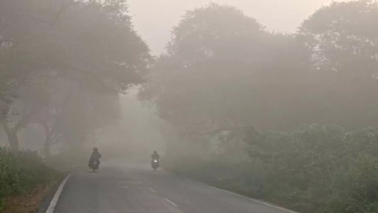 Meteorological Department predicts drop in temperature and fog, there will be rain here