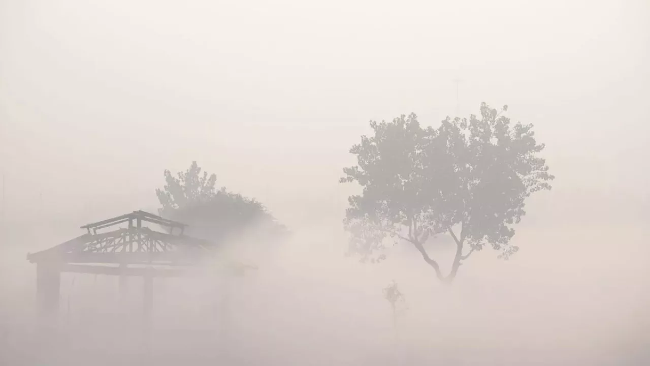 Dense fog in Delhi, there may be rain and snowfall in these states, know the weather condition