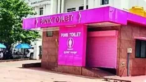 pink toilet