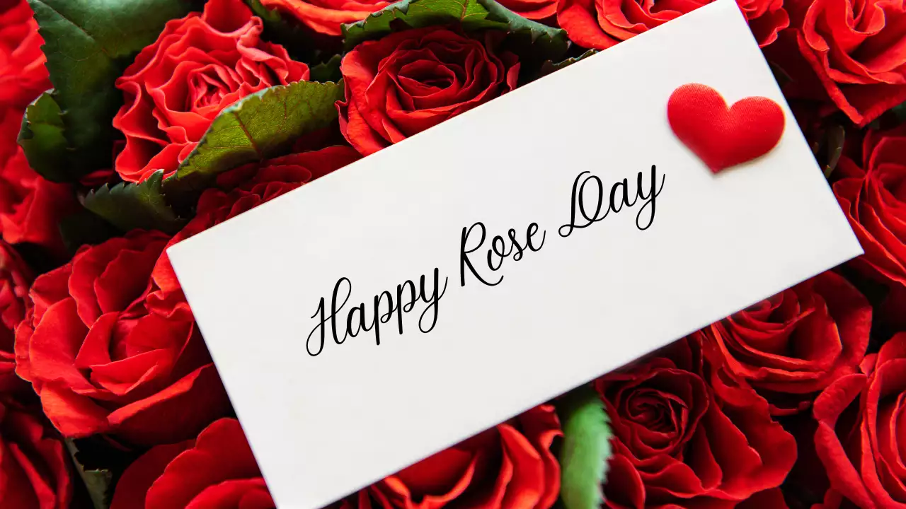 Happy Rose day