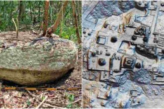 1000 year old city found in the jungle of Mexico