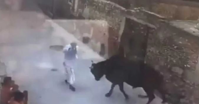 आवारा सांड ने किया बुजुर्ग पर हमला, दर्दनाक मौत