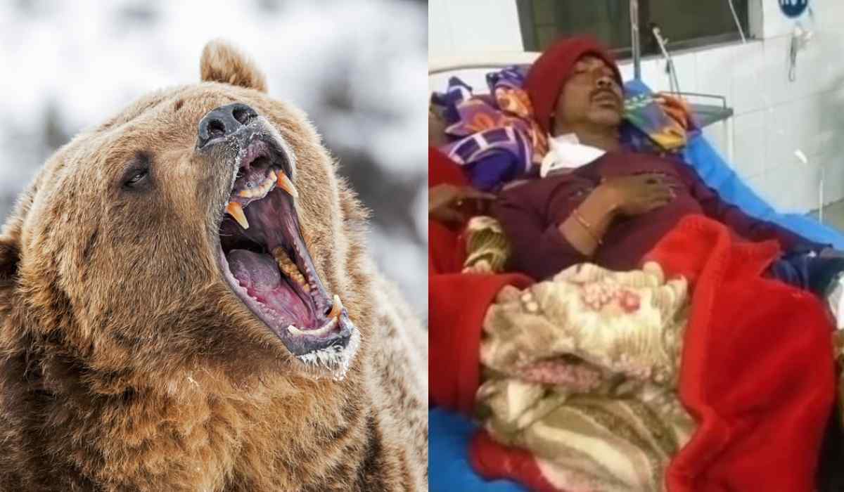 खटीमा में भालू का आतंक, एक और व्यक्ति पर किया जानलेवा हमला