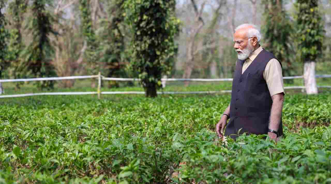 PM's special message from Assam tea garden