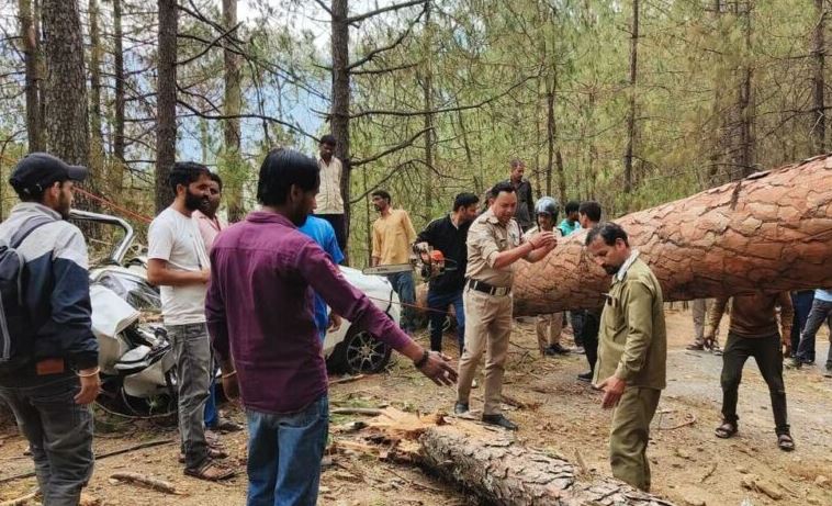 तेज आंधी से कार के ऊपर गिरा पेड़, एक व्यक्ति की मौत, दूसरे की हालत गंभीर घायल