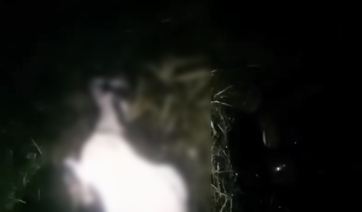 चंपावत में तेंदुए का आतंक, 12 बकरियों को बनाया निवाला, ग्रामीणों में दहशत