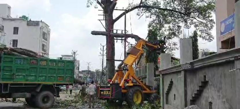 हल्द्वानी में सड़क चौड़ीकरण के कार्रवाई तेज, पेड़ों को शिफ्ट करने की प्रक्रिया शुरू